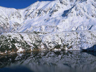 国旅日本游报价_日本新加坡旅游_日本参团旅游
