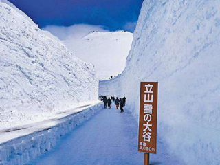 国旅日本游报价_日本新加坡旅游_日本参团旅游