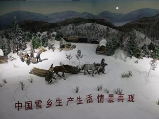 跟团哈尔滨旅游报价_哈尔滨最佳旅游路线_哈尔滨跟团旅游报价