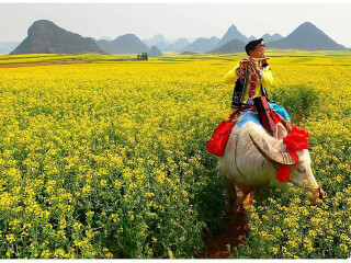 云南昆明自由行組團_云南昆明旅游要多少錢跟團_云南昆明游組團