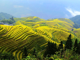 云南昆明自由行組團_云南昆明旅游要多少錢跟團_云南昆明游組團