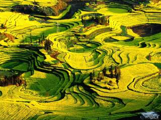 昆明旅游跟团去_昆明游旅游团报价_去昆明旅游的报价