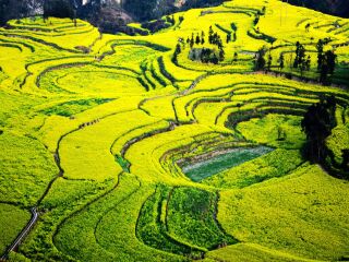 旅游团昆明旅游_特价昆明游_深圳出发昆明游