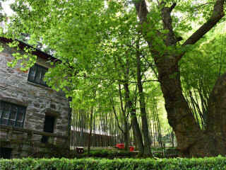 廬山九月旅游_去廬山旅游_廬山旅游報團(tuán)價格