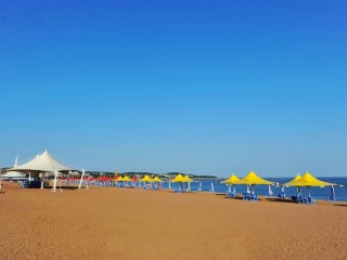 大連旅游一次多少錢_大連跟團(tuán)還是自由行_旅游團(tuán)大連