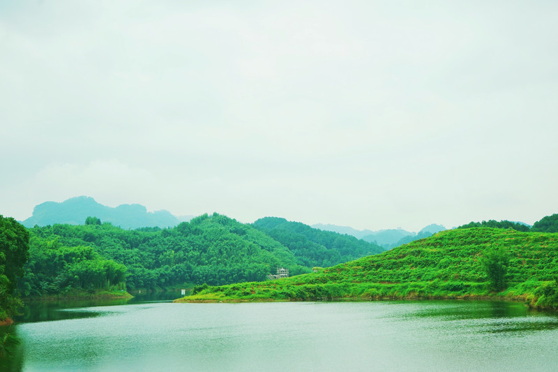 在高县七仙湖,它能满足你一切对绿色的幻想.  