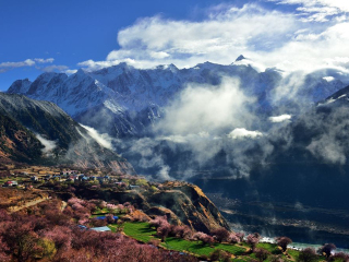 去西藏林芝游怎么省錢_西藏林芝私人定制旅游_西藏林芝旅游團(tuán)