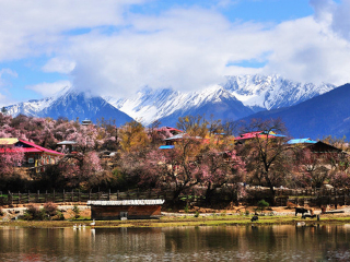 西藏游组团_深圳去西藏旅游费用_到西藏游跟团报价