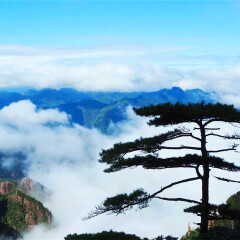 景点模块 