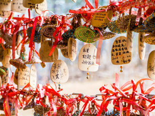 云南十一日游旅游团_云南9日游价格_云南旅游组团