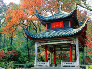 湖南張家界自由行費用_湖南張家界旅游報團價格_2021年湖南張家界旅游團報價