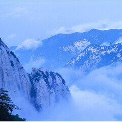 景点模块 