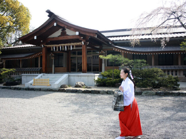 红果大阪+东京+京都+名古屋+富士山+奈良5晚美食日本图片