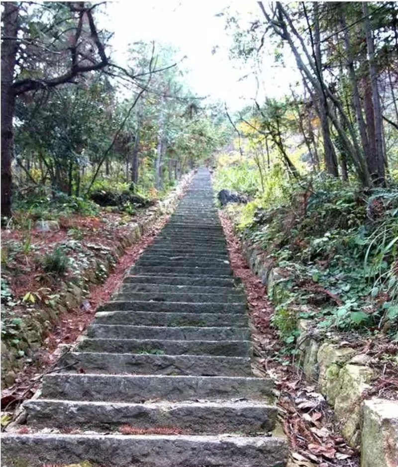 森林古道——马岭古道