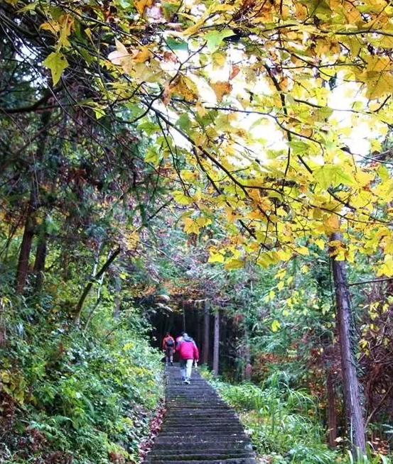 马岭古道距浦江县城约20公里,始于虞宅乡马岭脚村,终点为邻县桐庐芦茨