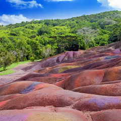 活动模块 