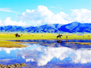 以往國(guó)慶青海游價(jià)格_青海旅游團(tuán)報(bào)價(jià)自由行_跟團(tuán)青海旅游價(jià)格表