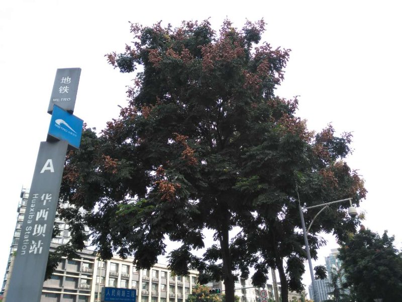 成都悠然居短租公寓