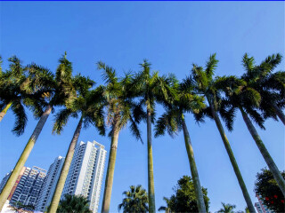 廣西德天瀑布2人旅游需要多少錢_廣西德天瀑布旅游價(jià)格多少跟團(tuán)_去廣西德天瀑布靠譜的旅行團(tuán)