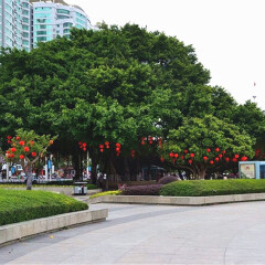 景点模块 