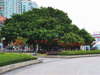 越南下龍灣八月份旅游_越南下龍灣旅游一次多少錢_組團去越南下龍灣
