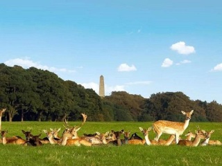 英國旅游最佳路線_到英國旅游報(bào)團(tuán)價(jià)格_英國特價(jià)旅游團(tuán)報(bào)價(jià)