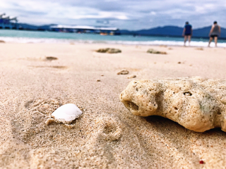 海南三亞自由行旅游團(tuán)_海南三亞旅游報(bào)價(jià)_海南三亞自由行還是跟團(tuán)好