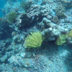活动模块 
