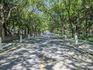 青島旅游報價_青島九月旅游_青島自由行費用