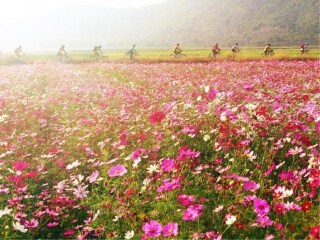 去云南旅行线路_特价云南游_去云南6日游