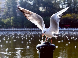 去云南旅行线路_特价云南游_去云南6日游