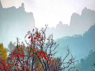 河南云臺山少林寺旅游價格_河南云臺山少林寺游跟團(tuán)多少錢2021_特價河南云臺山少林寺游