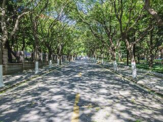 大連游跟團多少錢_大連游報價_現(xiàn)在去大連旅游多少錢
