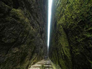 廈門鼓浪嶼最佳旅游路線_廈門鼓浪嶼報(bào)團(tuán)旅游多少錢_廈門鼓浪嶼八月份旅游