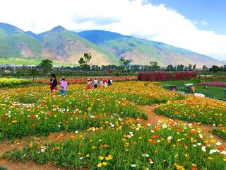 丽江旅游团线路_丽江5日游跟团_丽江旅游七日游