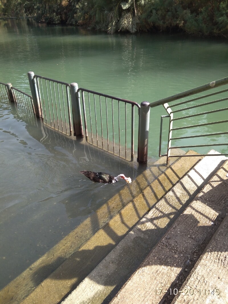 提比利亚-加利利海渡假胜地