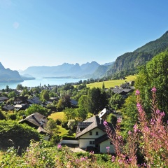 景点模块 