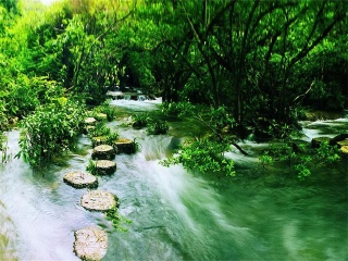 貴州九月旅游_貴州旅游一次多少錢_特價貴州游