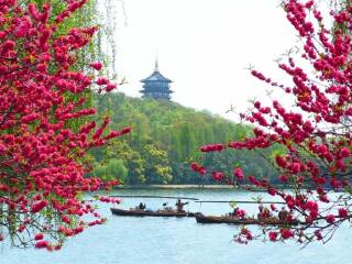 上海迪士尼旅游包團(tuán)價(jià)格_7月赴上海迪士尼旅游_游上海迪士尼跟團(tuán)