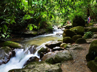 春节到南宁-德天旅游价格_南宁-德天跟团旅游线路_跟团旅游南宁-德天