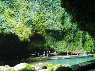 春节到南宁-德天旅游价格_南宁-德天跟团旅游线路_跟团旅游南宁-德天