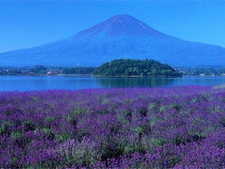 日本大阪旅游要多少錢2021_東莞到日本大阪游_組團去日本大阪