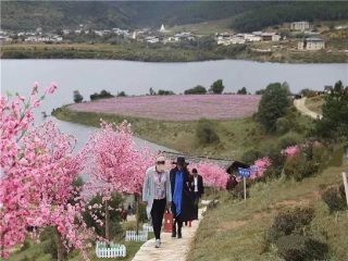 香格里拉10日游多少钱_豪华香格里拉游_旅游香格里拉