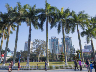春节到南宁-德天旅游价格_南宁-德天跟团旅游线路_跟团旅游南宁-德天