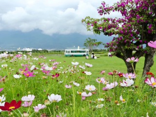 到云南大理麗江旅游_云南大理麗江最適合旅游的季節(jié)_廣州云南大理麗江旅游團
