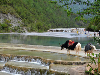 云南九日游_去云南的旅游费用_深圳去云南旅游团