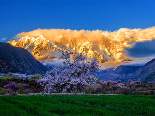 西藏旅游報團(tuán)價格_去西藏旅游多少錢_西藏旅游費用多少