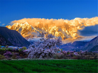 林芝县人口_拉萨 林芝 纳木错 尼洋阁 布宫 大昭寺双飞7日游 圆梦西藏,含藏东(3)