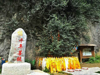 香格里拉10日游多少钱_豪华香格里拉游_旅游香格里拉
