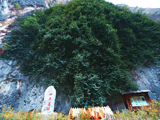 香格里拉10日游多少钱_豪华香格里拉游_旅游香格里拉